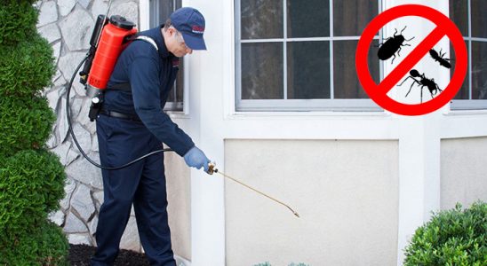 Uluborlu Akrep İlaçlama böcek ilaçlama ve haşere kontrolü — ilaclama-tr.com